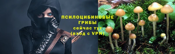 соль ск Зеленодольск