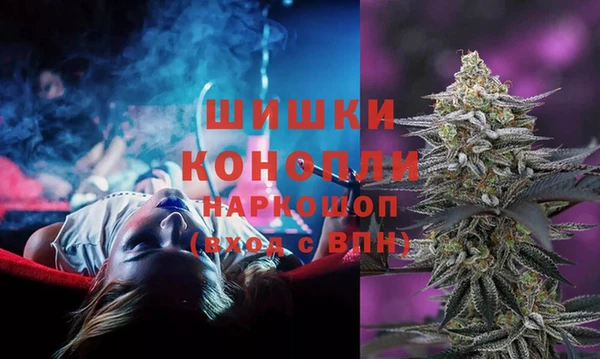 соль ск Зеленодольск