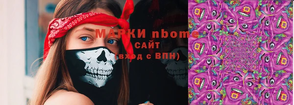 соль ск Зеленодольск