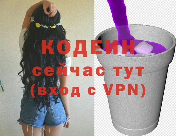 соль ск Зеленодольск