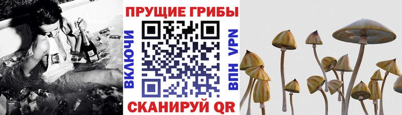 Галлюциногенные грибы мицелий  Демидов 